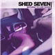 Shed Seven - Nothing To Live Down